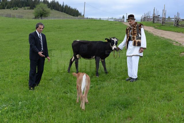 Dr. Petrea Dulgheru şi proprietarul junincii si a viţelului fătat prin cezariană