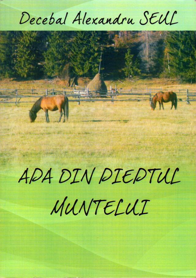 Decebal Alexandru Seul: „Apa din pieptul muntelui”