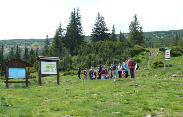 Pentru turişti, principalele atracţii au fost excursiile organizate în munţii Călimani