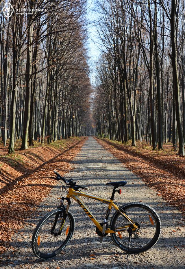 Traseu bicicletă Pătrăuți – Dragomirna