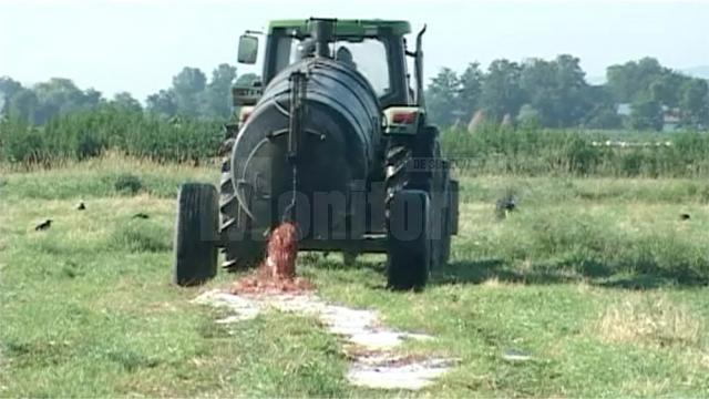 Sâmbătă, un tractor cu vidanjă împrăștia resturi lichide de la abatorul din Roşcani