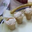 Îngheţata cu topinambur, cătină şi lapte din sâmburi de caisă este produsul care va reprezenta România la faza internaţională „Ecotrophelia”