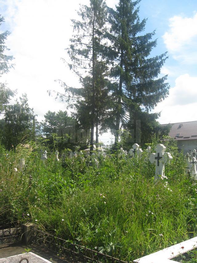 Cimitirul din Plopeni, maidan cu bălării