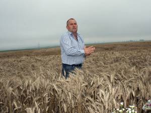 Gheorghe Abogatoaie: „Ploile au întârziat campania de recoltare cam cu două săptămâni”