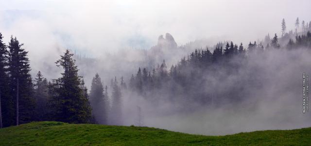 Rezervaţia botanică Fâneţele montane Todirescu