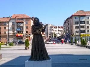Statuile vii şi-au ocupat cele cinci socluri din municipiul Suceava