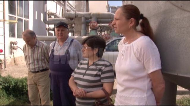 Circa 20 de angajaţi ai fabricii de seringi Genko Group SA Suceava au venit ieri din concediu, la firmă, pentru a protesta că nu şi-au primit salariile de luni de zile