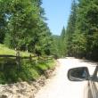 Drumul Chiril-Rarău va fi asfaltat până pe 10 septembrie