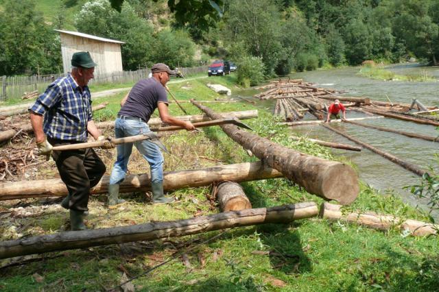 În satul cultural al României a început săptămâna plutăritului pe Bistriţa Aurie