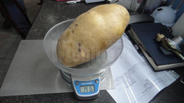 Cartoful cântărește 1,416 kg