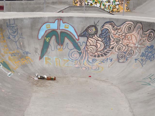 Groapă de gunoi în devenire, la Nordik Skate Park