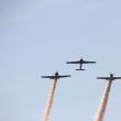 La „Suceava Airshow” au evoluat peste 20 de avioane performante, paraşutişti şi aproximativ 30 de piloţi din ţară