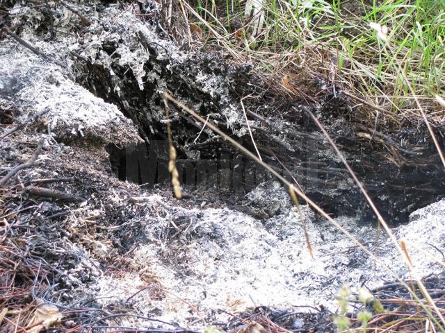 În parcul din comuna Vama solul arde mocnit dinspre adâncime spre suprafață, pe sub ierburi