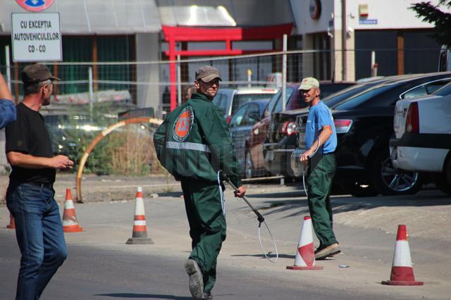 Prima zi de prindere a câinilor vagabonzi de către operatorul privat, Diasil