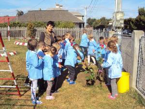 Preşcolarii de la grupa mare “Campionii” au plantat un copac