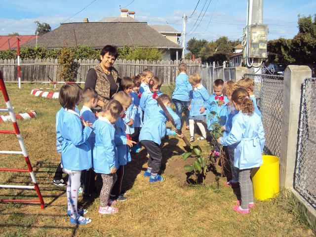 Preşcolarii de la grupa mare “Campionii” au plantat un copac
