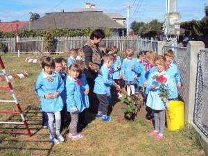 Preşcolarii de la grupa mare “Campionii” au plantat un copac