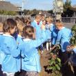 Preşcolarii de la grupa mare “Campionii” au plantat un copac
