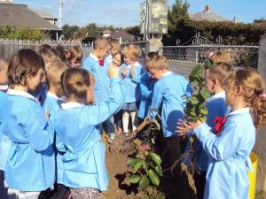 Preşcolarii de la grupa mare “Campionii” au plantat un copac