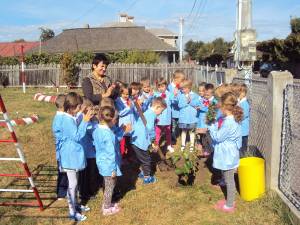 Preşcolarii de la grupa mare “Campionii” au plantat un copac