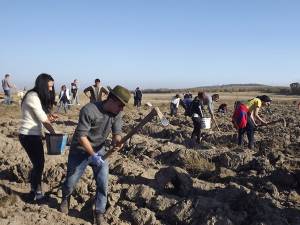 Tinerii voluntari au plantat o pădure pe 40 de hectare de teren