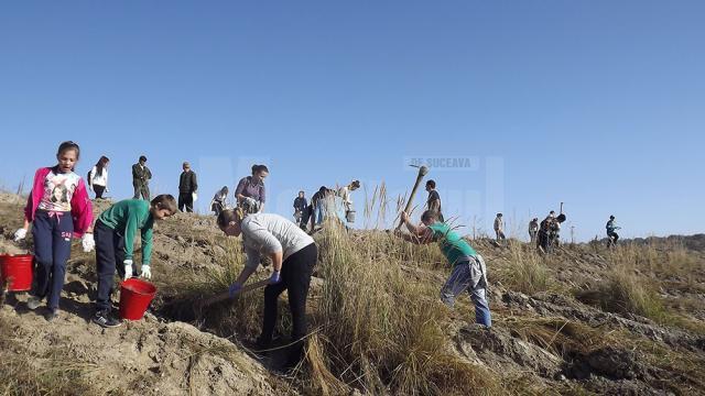 Tinerii voluntari au plantat o padure pe 40 de hectare de teren