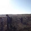 Tinerii voluntari au plantat o padure pe 40 de hectare de teren