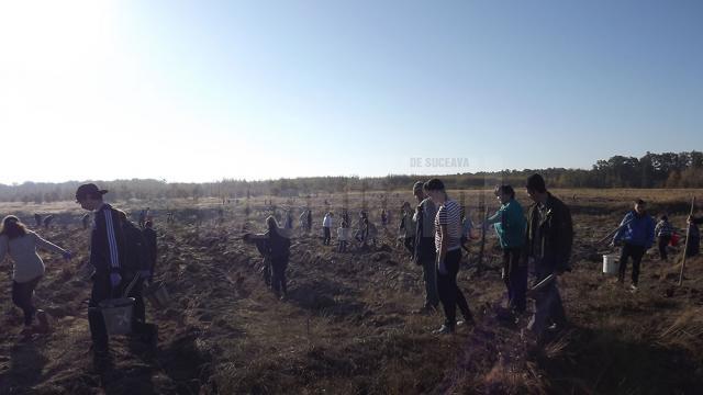 Tinerii voluntari au plantat o padure pe 40 de hectare de teren