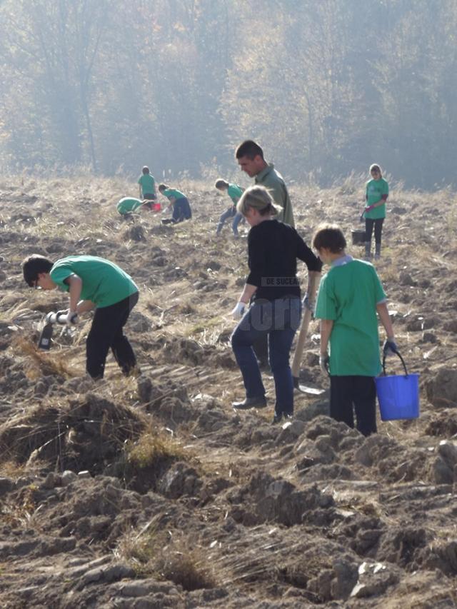 Voluntari care au raspuns apelului Hai la inverzit!