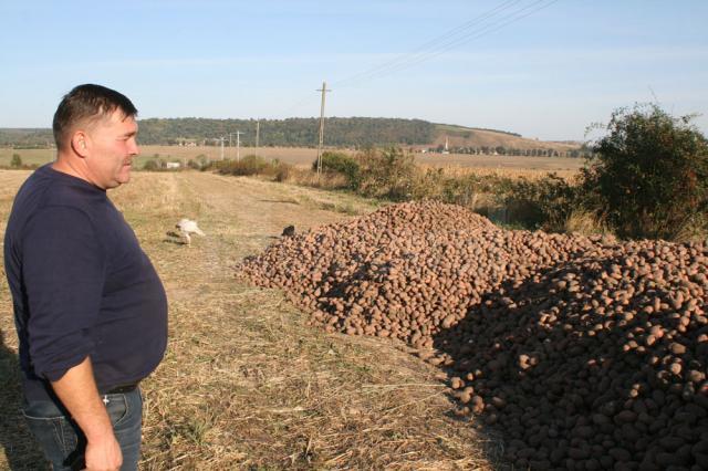 Mihai Flutur spune ca nu stie unde va vinde cartofii recoltati din cauza preturilor foarte mici