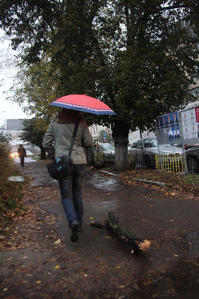 Din cauza condiţiilor meteo, crengile uscate ale unui tei de pe marginea străzii Nicolae Bălcescu, din centrul Sucevei, s-au prăbuşit ieri pe trotuar