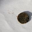 Un nou tezaur de 52 de monede, descoperit la Pătrăuţi de căutătorii de comori