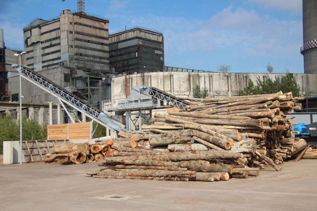 Rezervele de biomasă sunt insuficiente