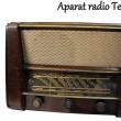 Aparat de radio funcţional Terta T 325– preţ de pornire licitaţie: 500 de lei