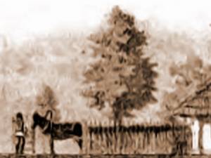C102: Casă lipovenească din Fântâna Albă – din Kaindl (1866-1930)