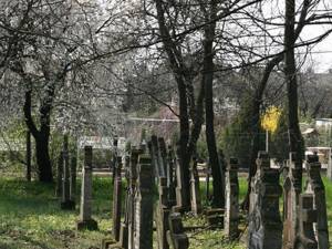 „Campanie pentru îngrijirea cimitirelor”