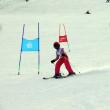 Concursul naţional de schi pentru copii „Bucuriile zăpezii”