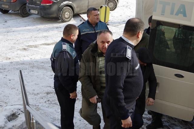 Arest la domiciliu pentru şeful Ocolului Silvic Fălticeni, proprietarul de pădure Cihoski şi complicii acestora