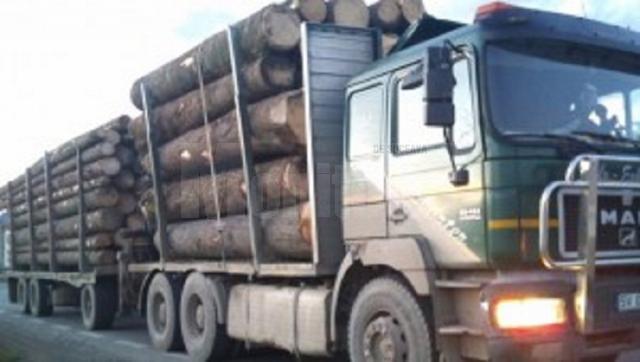 Echipaje de poliţie au acţionat şi în trafic, pentru depistarea transporturilor ilegale de material lemnos