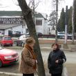 Voluntarii ecologişti au adoptat teii de pe strada Universităţii şi de pe bulevardul George Enescu
