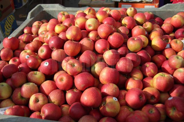 Licitaţia pentru atribuirea merelor către preşcolari şi elevi în cadrul programului de încurajare a consumului de fructe proaspete pare blocată la mantinelă