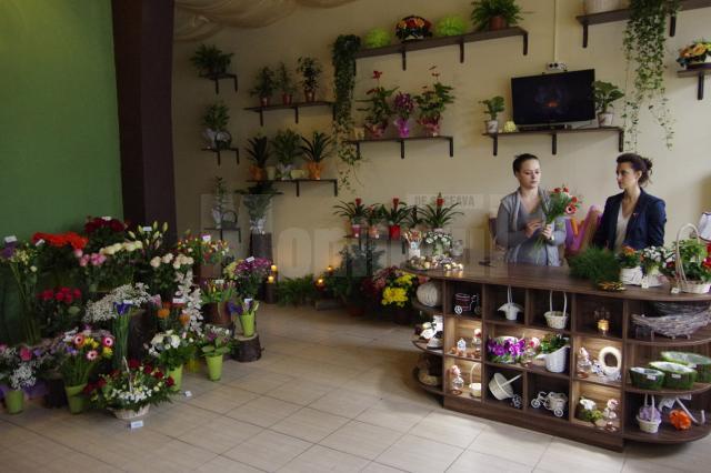În interiorul florăriei Mi Alma, clienţii vor paşii într-un colţ de natură