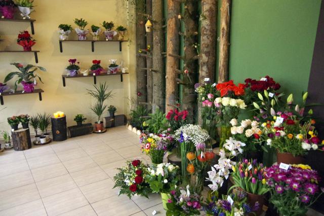Mi Alma, o florărie unică în judeţul Suceava, s-a deschis în prima zi a primăverii