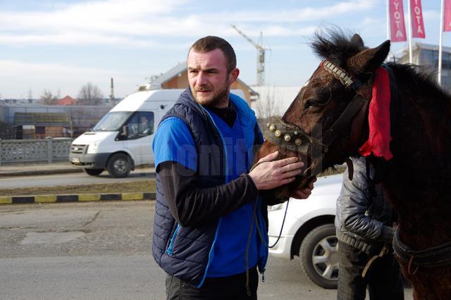 Deşi nu avea nici o obligaţie legată de evenimente de acest gen, veterinarul Gabriel Gaşpar a intervenit după ce un şofer l-a sunat şi l-a rugat să ajute cumva bietul cal