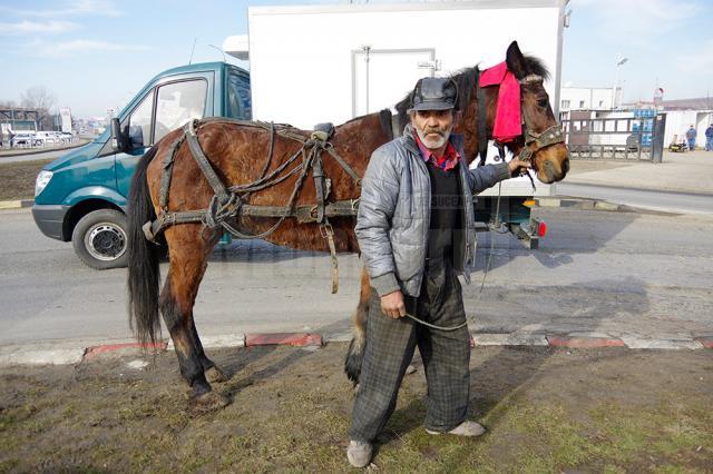 Un cal sleit de puteri a căzut pe drumul naţional-european de la intrarea în Suceava