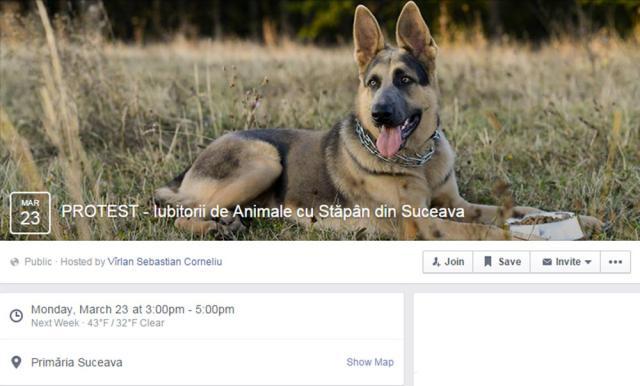Proteste organizate pe Facebook de iubitorii de animale din Suceava