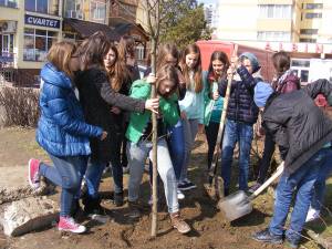 Acțiune de plantare a elevilor Scolii Nr. 4