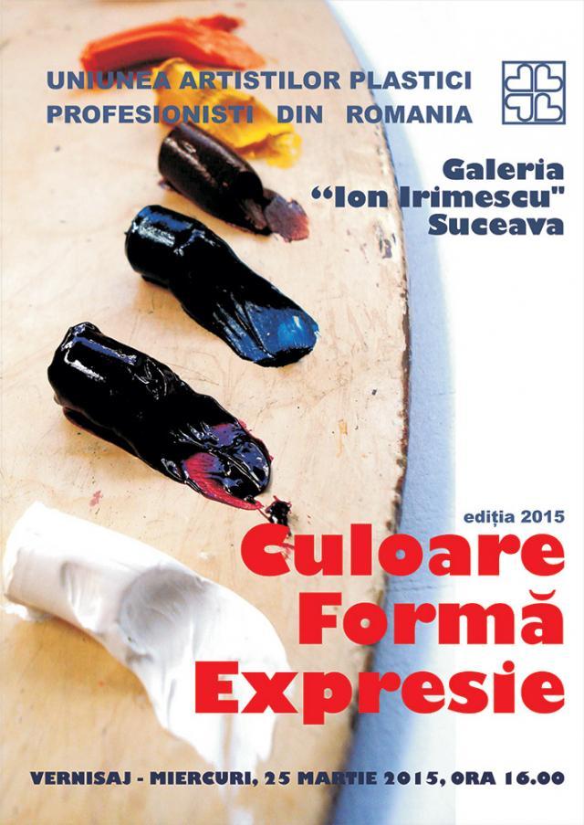 „Culoare - Formă - Expresie”, la Galeria de Artă „Ion Irimescu” Suceava