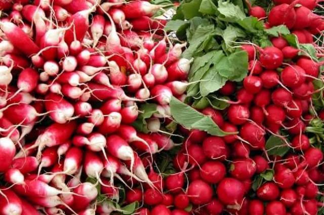 Ridichile îmbunătățesc diureza, calmează durerile abdominale și favorizează evacuarea gazelor intestinale