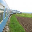 Cum au parcurs drumul de la glorie la agonie trenurile de călători ( sursa : http://trenuriromania.blogspot.ro/2012/02/m515-suceava-dornesti-radauti-nisipitu.html )